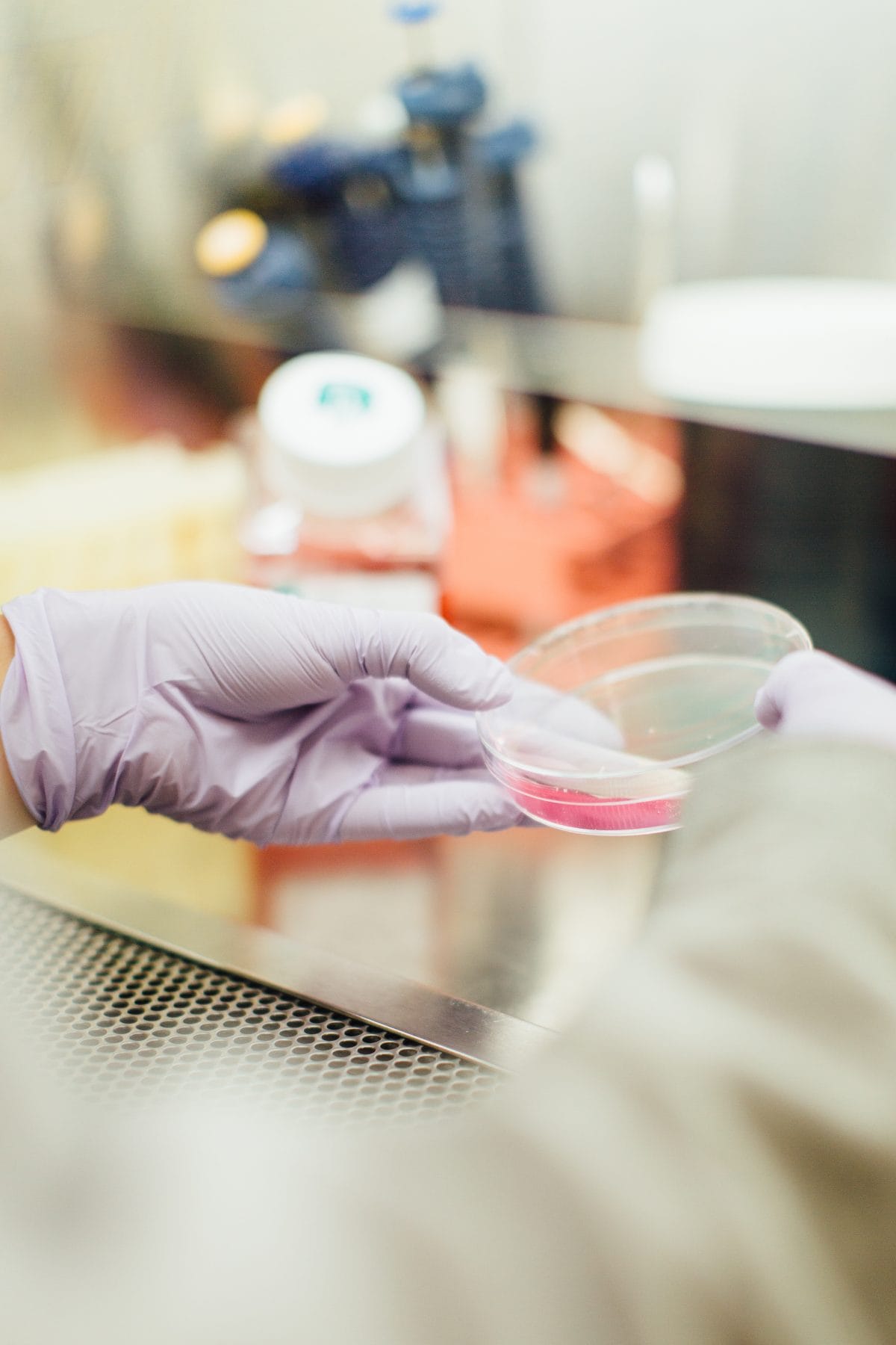Le BMBF lance un cluster dédié aux nouvelles technologies pour la santé et le soin