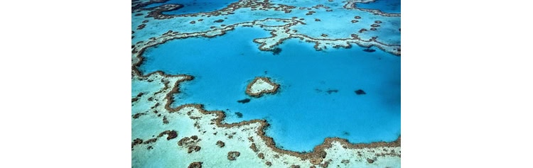 Importance des barrières de #corail dans la protection contre les #tsunamis et la préservation du #littoral