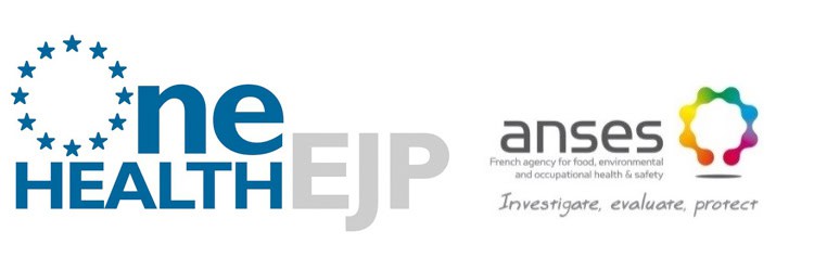 La #France et l’ #Allemagne impliquées dans un projet européen d’ampleur sur la thématique #OneHealth