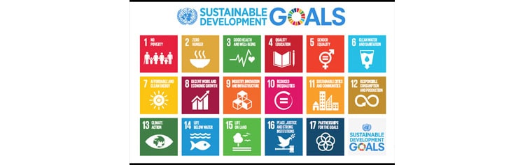 #Leopoldina #Symposium : « #Brain Power for #SustainableDevelopment »
